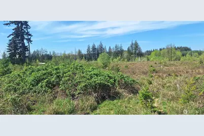123 Meier Road, Winlock, WA 98596 - Photo 7