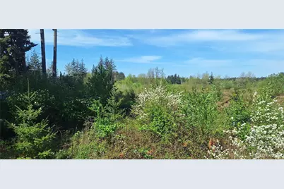 123 Meier Road, Winlock, WA 98596 - Photo 23
