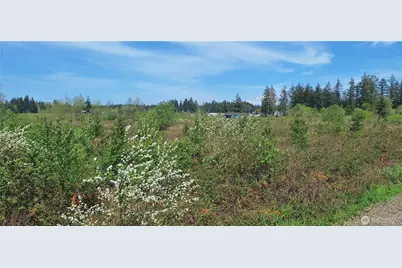 123 Meier Road, Winlock, WA 98596 - Photo 17