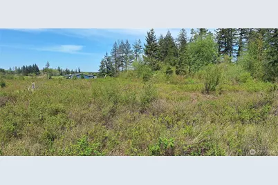 456 Meier Road, Winlock, WA 98596 - Photo 5