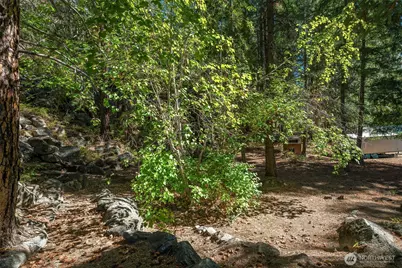 17972 Entiat River Road, Entiat, WA 98822 - Photo 21