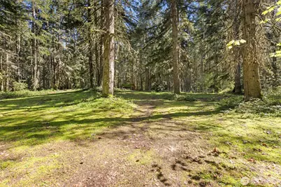 516 Gellor Road, Port Angeles, WA 98362 - Photo 23