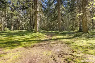 516 Gellor Rd, Port Angeles, WA 98362 - Photo 23