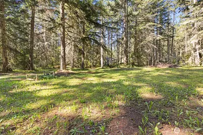 516 Gellor Road, Port Angeles, WA 98362 - Photo 31