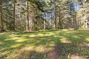 516 Gellor Rd, Port Angeles, WA 98362 - Photo 31