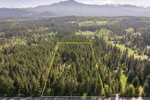 516 Gellor Rd, Port Angeles, WA 98362 - Photo 39