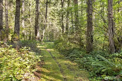 516 Gellor Road, Port Angeles, WA 98362 - Photo 25