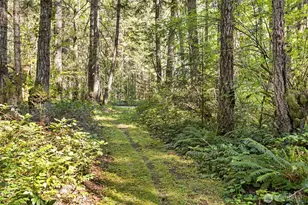 516 Gellor Rd, Port Angeles, WA 98362 - Photo 25