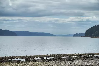 40590 N US Hwy 101, Lilliwaup, WA 98555 - Photo 37