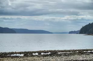 40590 N US Hwy 101, Lilliwaup, WA 98555 - Photo 37