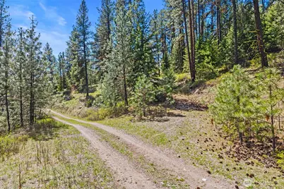 45 Xxxx Klondike, Republic, WA 99166 - Photo 13