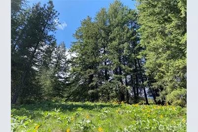 102 Elbow Canyon Road, Twisp, WA 98856 - Photo 9