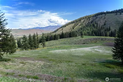 102 Elbow Canyon Road, Twisp, WA 98856 - Photo 31