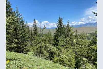 102 Elbow Canyon Road, Twisp, WA 98856 - Photo 11