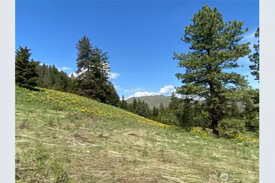 102 Elbow Canyon Road, Twisp, WA 98856 - Photo 19
