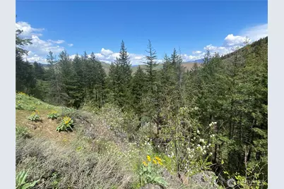 102 Elbow Canyon Road, Twisp, WA 98856 - Photo 13
