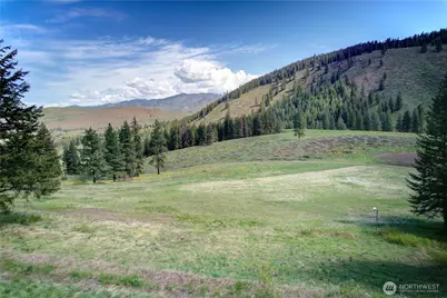 102 Elbow Canyon Road, Twisp, WA 98856 - Photo 27