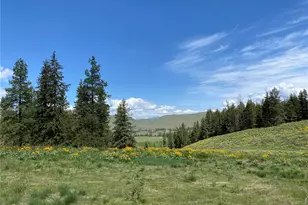 102 Elbow Canyon Rd, Twisp, WA 98856 - Photo 1