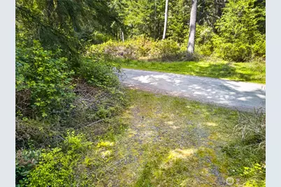 0 Evergreen Lane, Freeland, WA 98249 - Photo 7