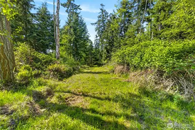 0 Evergreen Lane, Freeland, WA 98249 - Photo 17