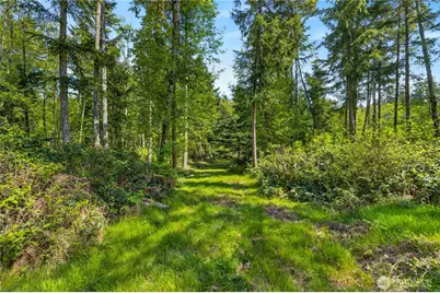 0 Evergreen Lane, Freeland, WA 98249 - Photo 15