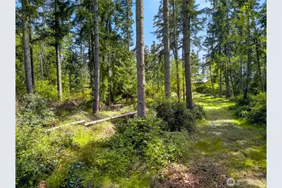 0 Evergreen Lane, Freeland, WA 98249 - Photo 11
