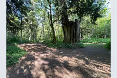 15901 108th Street E, Puyallup, WA 98374 - Photo 3