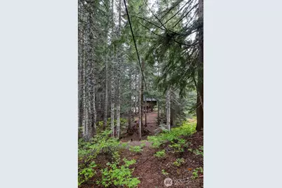 670 Yellowstone, Snoqualmie Pass, WA 98068 - Photo 31