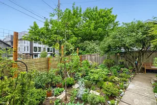 1608 N 50th St, Seattle, WA 98103 - Photo 29