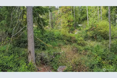 220 E Peebles Court, Shelton, WA 98584 - Photo 11
