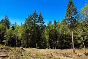 75 E Lakewood Dr, Belfair, WA 98528 - Photo 1