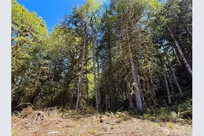 75 E Lakewood Drive, Belfair, WA 98528 - Photo 25