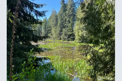 75 E Lakewood Drive, Belfair, WA 98528 - Photo 11