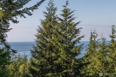 41 Raven Lane, Orcas Island, WA 98279 - Photo 7