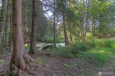 41 Raven Lane, Orcas Island, WA 98279 - Photo 37