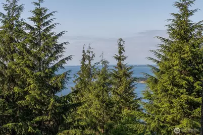 41 Raven Lane, Orcas Island, WA 98279 - Photo 3