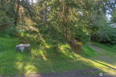 41 Raven Lane, Orcas Island, WA 98279 - Photo 11