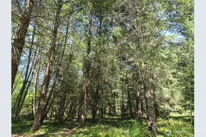 127 Campfire Lane, Packwood, WA 98361 - Photo 17