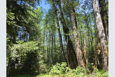 127 Campfire Lane, Packwood, WA 98361 - Photo 21