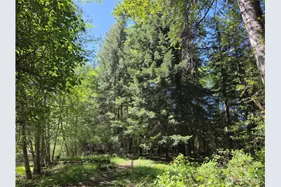 127 Campfire Lane, Packwood, WA 98361 - Photo 23