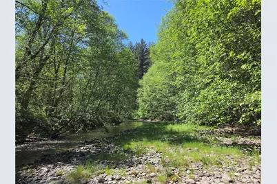 127 Campfire Lane, Packwood, WA 98361 - Photo 19