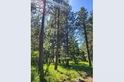 7 Summit View At Wallace Ranch, Cle Elum, WA 98922 - Photo 9