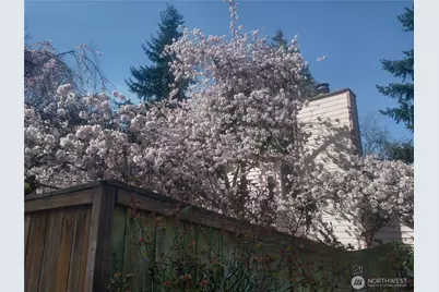 8129 NE 131st Street, Kirkland, WA 98034 - Photo 35