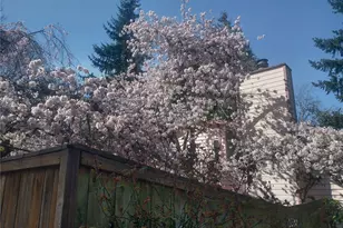 8129 NE 131st St, Kirkland, WA 98034 - Photo 35