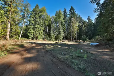 4935 Helppie Lane, Freeland, WA 98249 - Photo 3