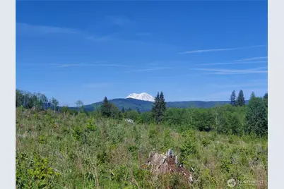195 -82 Hagen Road, Mossyrock, WA 98564 - Photo 1