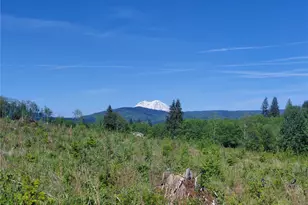 195-82 Hagen Rd, Mossyrock, WA 98564 - Photo 1