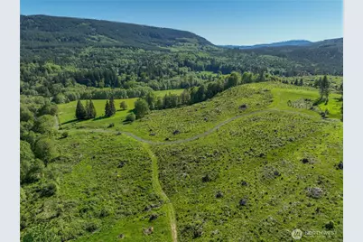 195 -82 Hagen Road, Mossyrock, WA 98564 - Photo 11