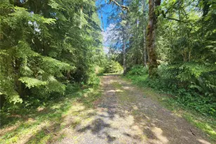 504 47 Winston Creek Rd, Mossyrock, WA 98564 - Photo 31