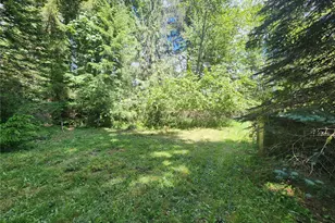 504 47 Winston Creek Rd, Mossyrock, WA 98564 - Photo 15